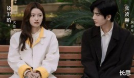 国产精彩久久,穿越时光的温情之旅